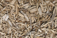 biomass boilers Petts Wood